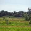 Tour 13: Darß - 2